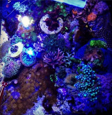 4.5gal2.jpg