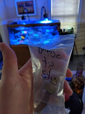 MVIMG_20180607_102001.jpg
