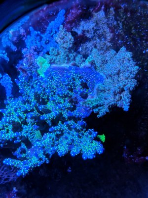 MVIMG_20180607_101116.jpg