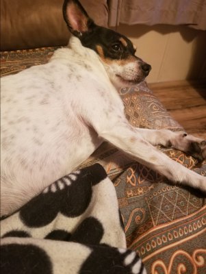 20180628_203248.jpg