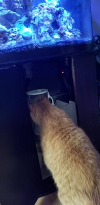 20180628_190003.jpeg