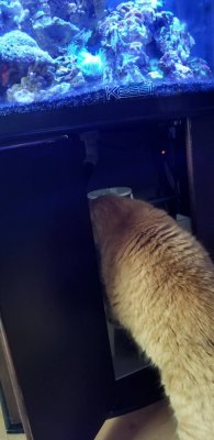 20180628_190008.jpeg