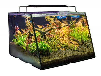 Lifegard-Aquatics-Full-View-Aquarium-Complete-Kit-7-Gallon-99.jpg