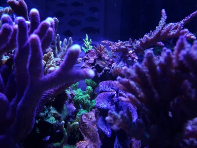 20180730_195721.jpg