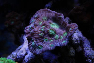 IMG_3979.jpg