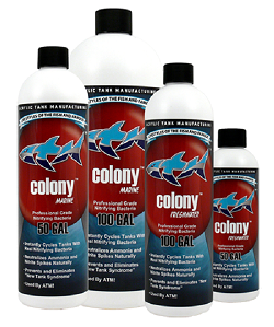 ATM-Colony2.png ATM-Colony2.png