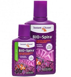 biospira2.jpg biospira2.jpg