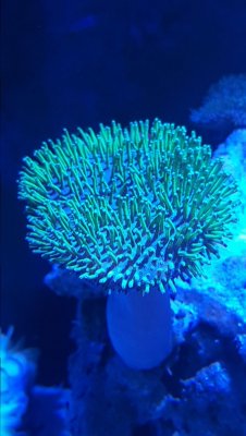 IMG-20181030-WA0052.jpeg IMG-20181030-WA0052.jpeg