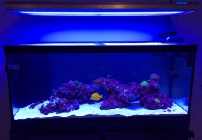 FTS-12-2-18.jpg