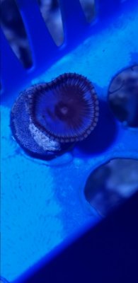 20180604_160930[1].jpg