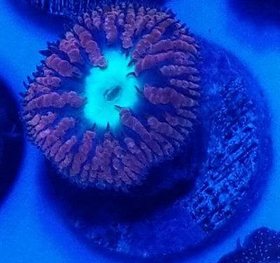 20180619_232600[1].jpg