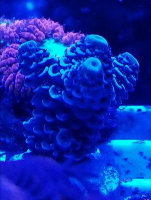 20181201_193213[1].jpg