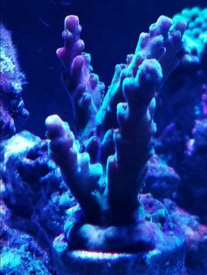 20181107_214232[1].jpg