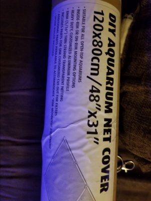 20181210_193207.jpg