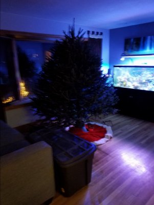 20181202_184022.jpg