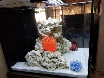 20181228_165739.jpg