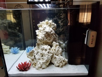 20181228_165747.jpg 20181228_165747.jpg