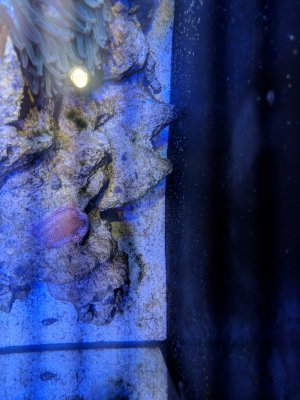 MVIMG_20181109_180205.jpg