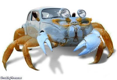 Beetle-Crab-Car.jpg