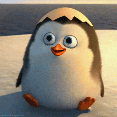 Baby Penguin.gif