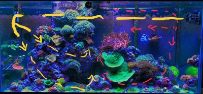 D7C4CF53-B76F-49B4-A2B1-146A3DEA38CA.jpeg