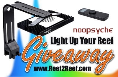 >>> Light Up Your Reef Giveaway by Noopsyche and R2R!! <<<