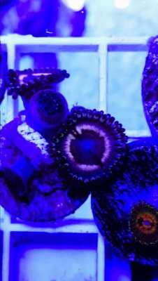 AB037136-3622-4101-AA5A-D3DF136C77CE.jpeg