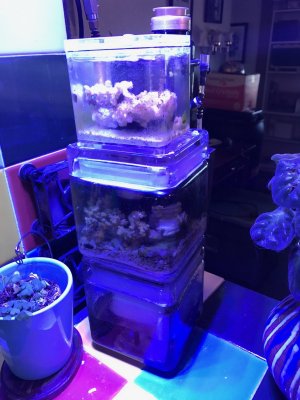 IMG_1839.JPG