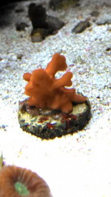 IMG_20131224_122939.jpg