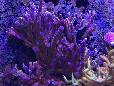IMG_0402.JPG