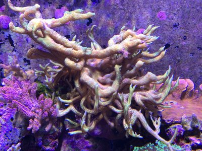 IMG_0407.JPG