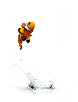 shutterstock_5195587.jpg