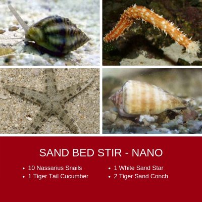 SAND BED STIR - NANO (1).jpg