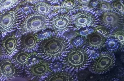 Screenshot_20190211-170547_Gallery.jpg