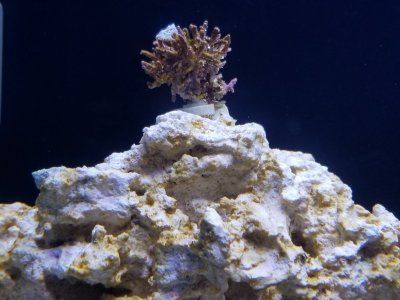 20190216_175605.jpg