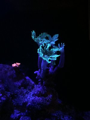 IMG_0772.jpg