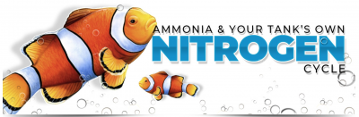 Ammonia & Your Tank's Own Nitrogen Cycle