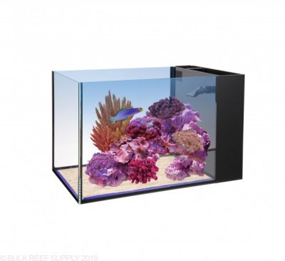 210697-14g-fusion-innovative-marine-peninsula-aquarium.jpg