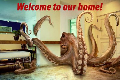 welcome 5.jpg welcome 5.jpg