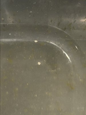 01A6C897-91E0-4FD4-8E90-45C71172549E.jpeg