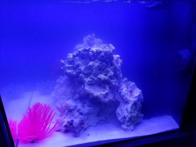 20190303_220723.jpg