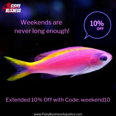 It's going to be a really long Weekend!.jpg