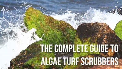 The Complete Guide to Algae Turf Scrubbers: Part 1