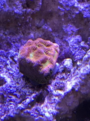 IMG_1778.JPG