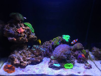 IMG_3990.jpg