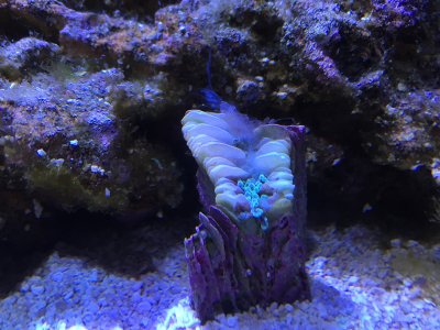 IMG_9637.jpg