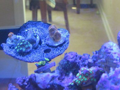 IMG_1889.JPG
