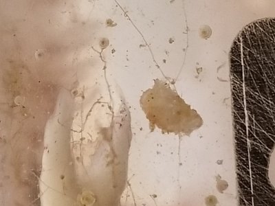 20190322_000713.jpg