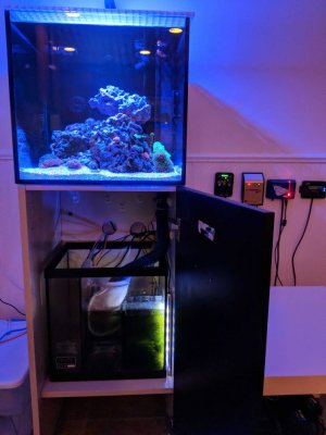 aquarium setup.jpeg