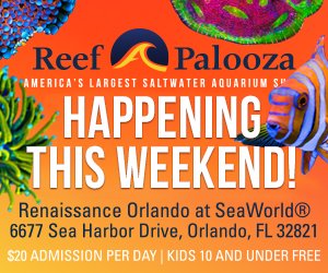 Reef-A-Palooza Orlando 2019 | Come Join Us for Our 6 Year Anniversary!